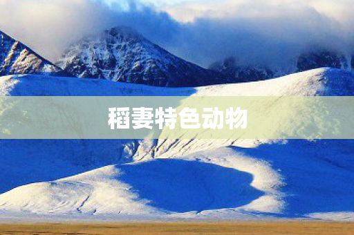 稻妻特色动物图片