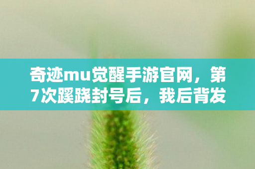 奇迹mu觉醒手游官网，第7次蹊跷封号后，我后背发凉，原来我才是被游戏玩透的提线木偶