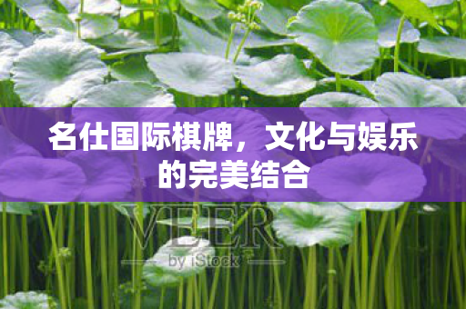 文化与娱乐的完美结合图片