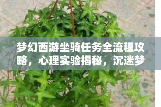 梦幻西游坐骑任务全流程攻略，心理实验揭秘，沉迷梦幻西游坐骑任务，细思极恐的自我麻醉