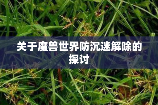 关于魔兽世界防沉迷解除的探讨图片