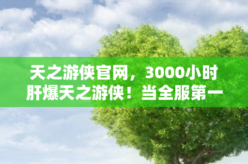 天之游侠官网，3000小时肝爆天之游侠！当全服第一突然删号，背后藏着多少玩家的血泪？
