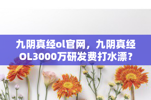 九阴真经ol官网，九阴真经OL3000万研发费打水漂？会议室惊爆内幕，真相让人吓一跳！