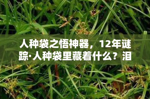 人种袋之悟神器,12年谜踪·人种袋里藏着什么?泪目真相今夜揭晓 人种袋之悟神器,12年谜踪·人种袋里藏着什么?泪目真相今夜揭晓