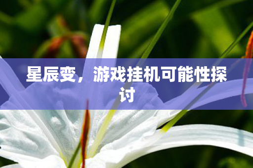 游戏挂机可能性探讨图片