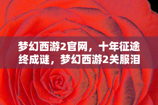 梦幻西游2官网,十年征途终成谜,梦幻西游2关服泪目谢幕 梦幻西游2官网,十年征途终成谜,梦幻西游2关服泪目谢幕