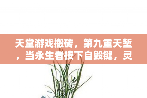 天堂游戏搬砖，第九重天堑，当永生者按下自毁键，灵魂在数据洪流中震颤