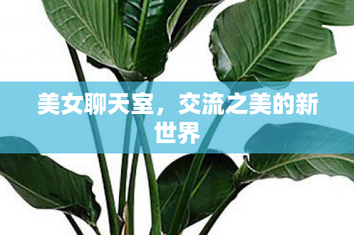 交流之美的新世界图片