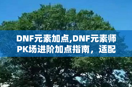 DNF元素加点,DNF元素师PK场进阶加点指南,适配全段位的灵活方案 DNF元素加点,DNF元素师PK场进阶加点指南,适配全段位的灵活方案