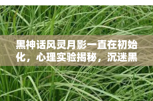 黑神话风灵月影一直在初始化,心理实验揭秘,沉迷黑神话风灵月影,细思极恐的自我麻醉 黑神话风灵月影一直在初始化,心理实验揭秘,沉迷黑神话风灵月影,细思极恐的自我麻醉