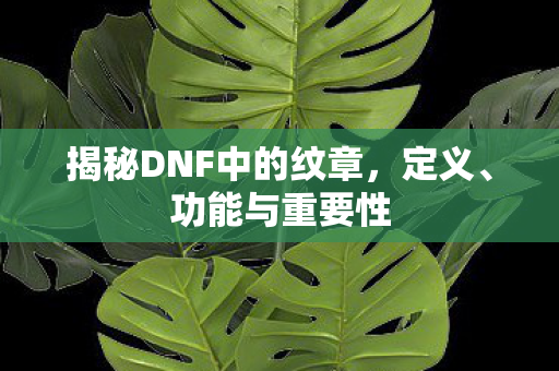 揭秘DNF中的纹章图片