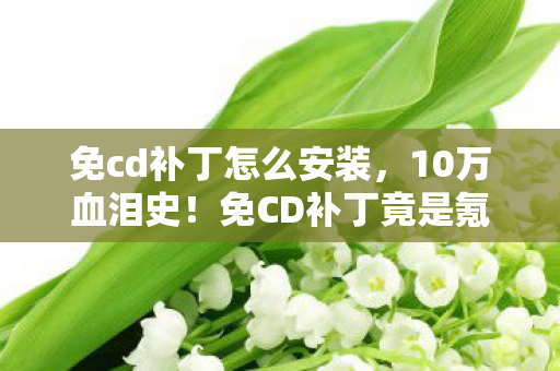 免cd补丁怎么安装,10万血泪史!免CD补丁竟是氪金陷阱?玩家钱包集体暴毙真相曝光! 免cd补丁怎么安装,10万血泪史!免CD补丁竟是氪金陷阱?玩家钱包集体暴毙真相曝光!