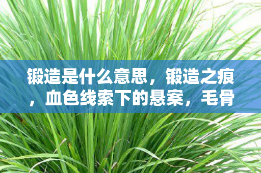 锻造是什么意思,锻造之痕,血色线索下的悬案,毛骨悚然真相待揭 锻造是什么意思,锻造之痕,血色线索下的悬案,毛骨悚然真相待揭