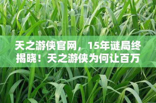 天之游侠官网，15年谜局终揭晓！天之游侠为何让百万玩家泪目？