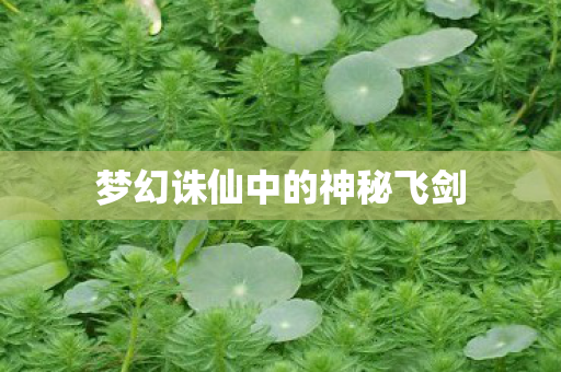 梦幻诛仙中的神秘飞剑图片