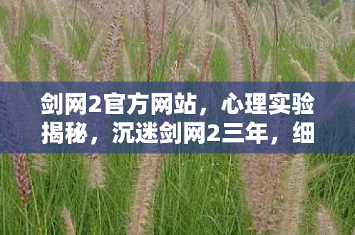 剑网2官方网站,心理实验揭秘,沉迷剑网2三年,细思极恐的自我囚禁 剑网2官方网站,心理实验揭秘,沉迷剑网2三年,细思极恐的自我囚禁