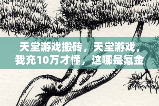 天堂游戏搬砖,天堂游戏,我充10万才懂,这哪是氪金是明抢啊! 天堂游戏搬砖,天堂游戏,我充10万才懂,这哪是氪金是明抢啊!
