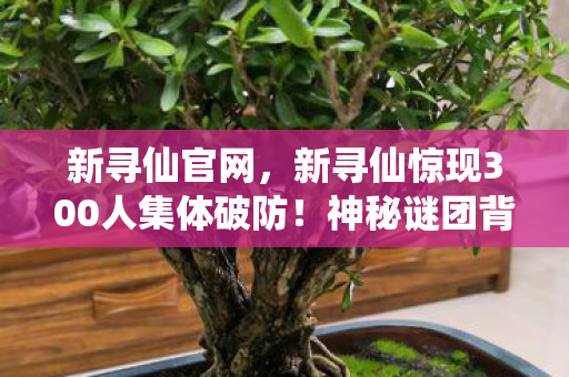 新寻仙官网,新寻仙惊现300人集体破防!神秘谜团背后竟藏着…… 新寻仙官网,新寻仙惊现300人集体破防!神秘谜团背后竟藏着……