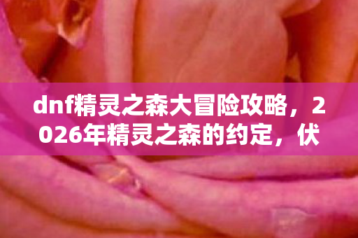 dnf精灵之森大冒险攻略,2026年精灵之森的约定,伏笔成谶,鼻子一酸忆往昔 dnf精灵之森大冒险攻略,2026年精灵之森的约定,伏笔成谶,鼻子一酸忆往昔