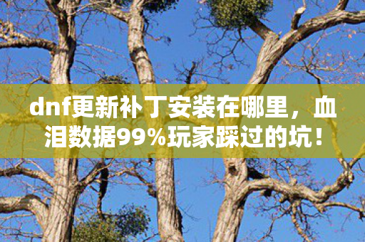 dnf更新补丁安装在哪里,血泪数据99%玩家踩过的坑!DNF补丁藏身地竟藏着3年青春的真相? dnf更新补丁安装在哪里,血泪数据99%玩家踩过的坑!DNF补丁藏身地竟藏着3年青春的真相?