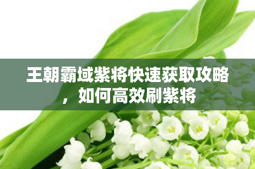 王朝霸域紫将快速获取攻略图片