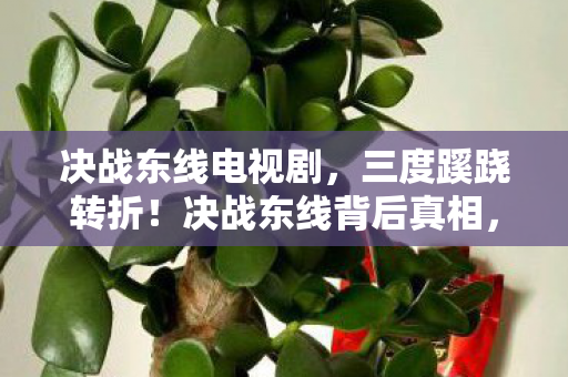 决战东线电视剧,三度蹊跷转折!决战东线背后真相,让人后背发凉的终极揭秘 决战东线电视剧,三度蹊跷转折!决战东线背后真相,让人后背发凉的终极揭秘