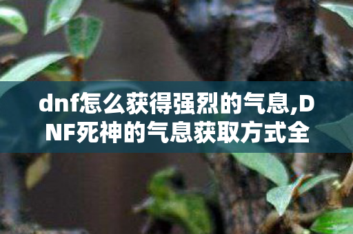 dnf怎么获得强烈的气息,DNF死神的气息获取方式全指南 重温经典称号的青春回忆 dnf怎么获得强烈的气息,DNF死神的气息获取方式全指南 重温经典称号的青春回忆