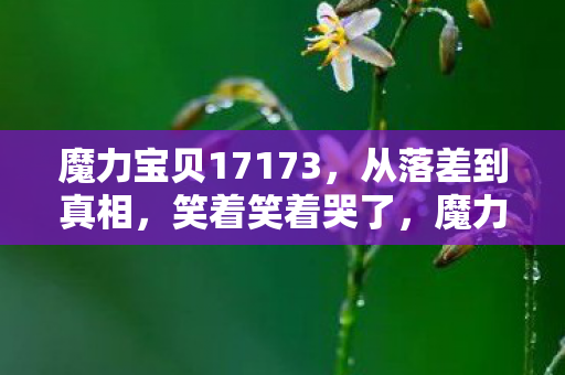 魔力宝贝17173,从落差到真相,笑着笑着哭了,魔力宝贝竟成我的电子鸦片? 魔力宝贝17173,从落差到真相,笑着笑着哭了,魔力宝贝竟成我的电子鸦片?