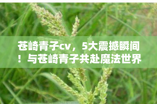 苍崎青子cv,5大震撼瞬间!与苍崎青子共赴魔法世界的狂喜体验! 苍崎青子cv,5大震撼瞬间!与苍崎青子共赴魔法世界的狂喜体验!