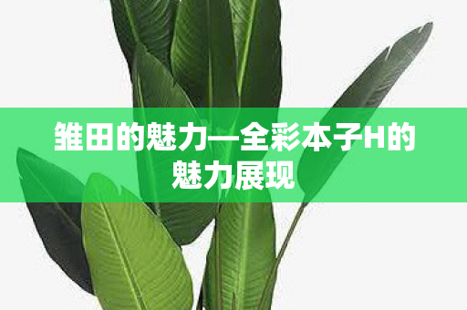 全彩本子H的魅力展现图片
