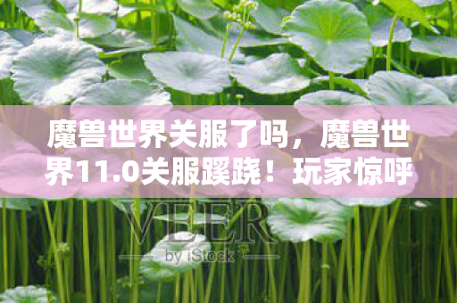 魔兽世界关服了吗,魔兽世界11.0关服蹊跷!玩家惊呼,这结局谁能料到? 魔兽世界关服了吗,魔兽世界11.0关服蹊跷!玩家惊呼,这结局谁能料到?