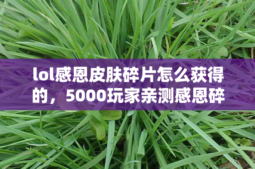 lol感恩皮肤碎片怎么获得的,5000玩家亲测感恩碎片获取疑云,这操作真绷不住了! lol感恩皮肤碎片怎么获得的,5000玩家亲测感恩碎片获取疑云,这操作真绷不住了!