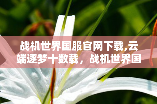 战机世界国服官网下载,云端逐梦十数载,战机世界国服带你领略真实空战魅力 战机世界国服官网下载,云端逐梦十数载,战机世界国服带你领略真实空战魅力