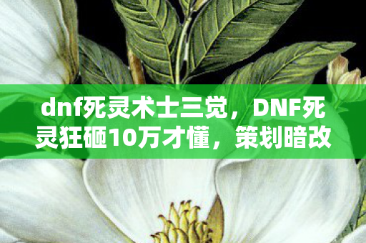 dnf死灵术士三觉,DNF死灵狂砸10万才懂,策划暗改数据坑钱,这操作谁看了不吓一跳? dnf死灵术士三觉,DNF死灵狂砸10万才懂,策划暗改数据坑钱,这操作谁看了不吓一跳?