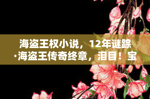 海盗王权小说,12年谜踪·海盗王传奇终章,泪目!宝藏背后的真相 海盗王权小说,12年谜踪·海盗王传奇终章,泪目!宝藏背后的真相