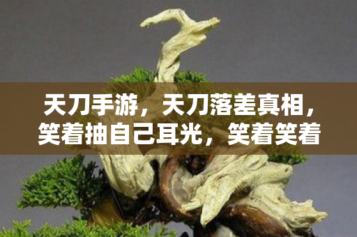 天刀手游,天刀落差真相,笑着抽自己耳光,笑着笑着却哭了 天刀手游,天刀落差真相,笑着抽自己耳光,笑着笑着却哭了