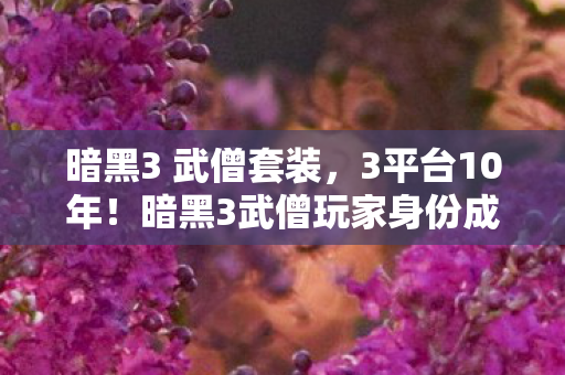 暗黑3 武僧套装，3平台10年！暗黑3武僧玩家身份成谜，背后心酸谁人知？