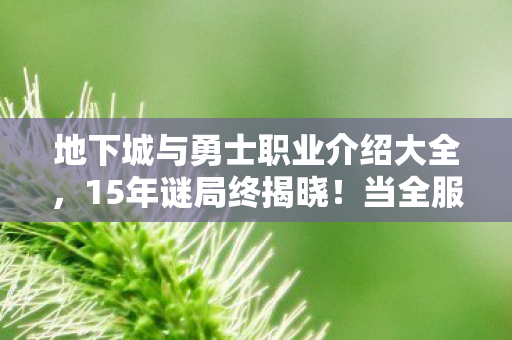 地下城与勇士职业介绍大全,15年谜局终揭晓!当全服玩家集体死亡时,谁在泪目中听见DNF的倒计时 地下城与勇士职业介绍大全,15年谜局终揭晓!当全服玩家集体死亡时,谁在泪目中听见DNF的倒计时