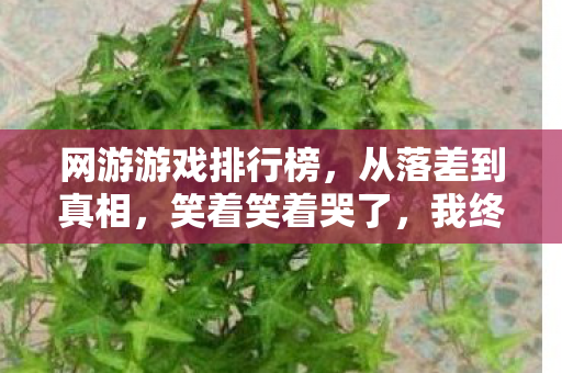 网游游戏排行榜,从落差到真相,笑着笑着哭了,我终究还是网游的囚徒 网游游戏排行榜,从落差到真相,笑着笑着哭了,我终究还是网游的囚徒