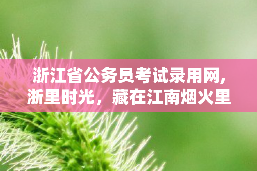 浙江省公务员考试录用网,浙里时光，藏在江南烟火里的温柔注脚