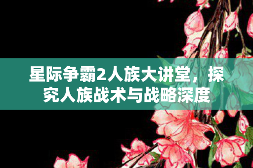 探究人族战术与战略深度图片