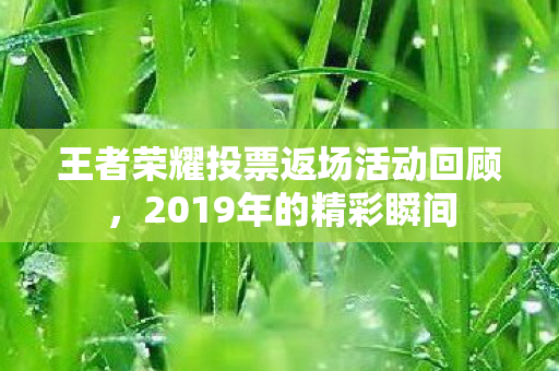 王者荣耀投票返场活动回顾图片