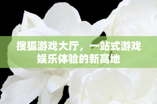 一站式游戏娱乐体验的新高地图片