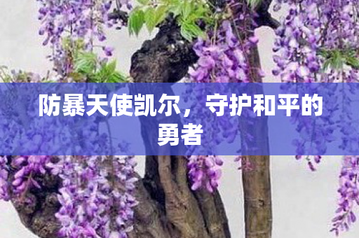 守护和平的勇者图片