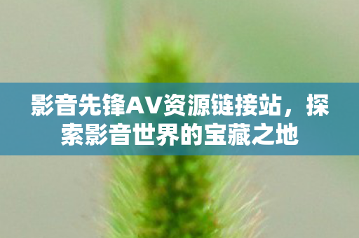 影音先锋AV资源链接站图片