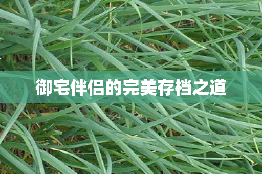 御宅伴侣的完美存档之道图片