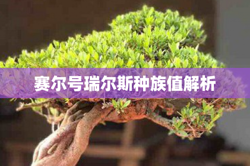 赛尔号瑞尔斯种族值解析图片