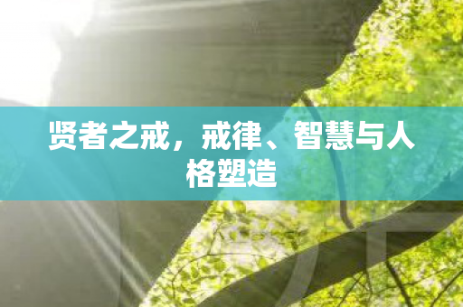 智慧与人格塑造图片