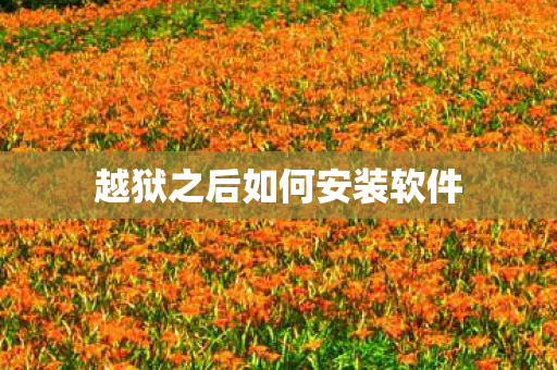 越狱之后如何安装软件图片