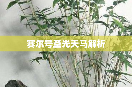 赛尔号圣光天马解析图片